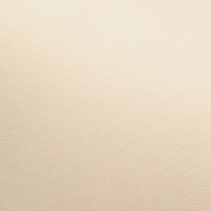 Échantillon vaigrage Admiral ivoire